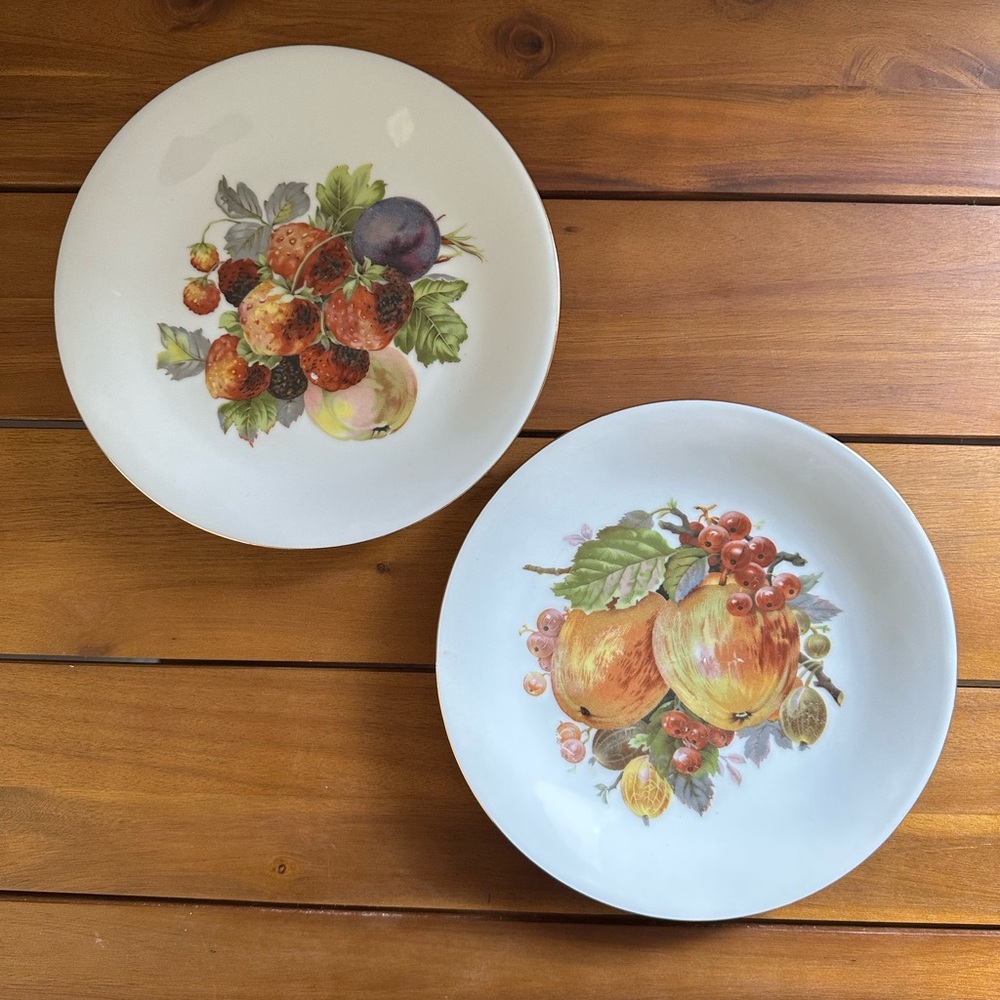 Vintage Marks & Rosenfeld France 9” Porcelain Plates Fruit Motif Set of 2